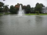 Heart Gold Fish Pond