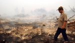 Deforestation in Malaisia 4