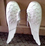 Retro wings
