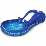 Whale pool
