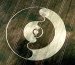 Vinyl Crop circle