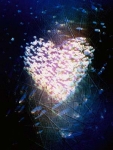 Light heart