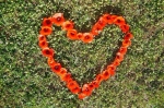 Heart on earth