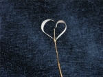 Heart in France