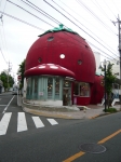 Flower building